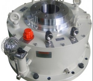 Vertical bearing